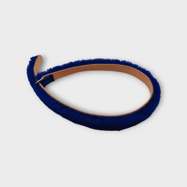 Collier pour chien et chat