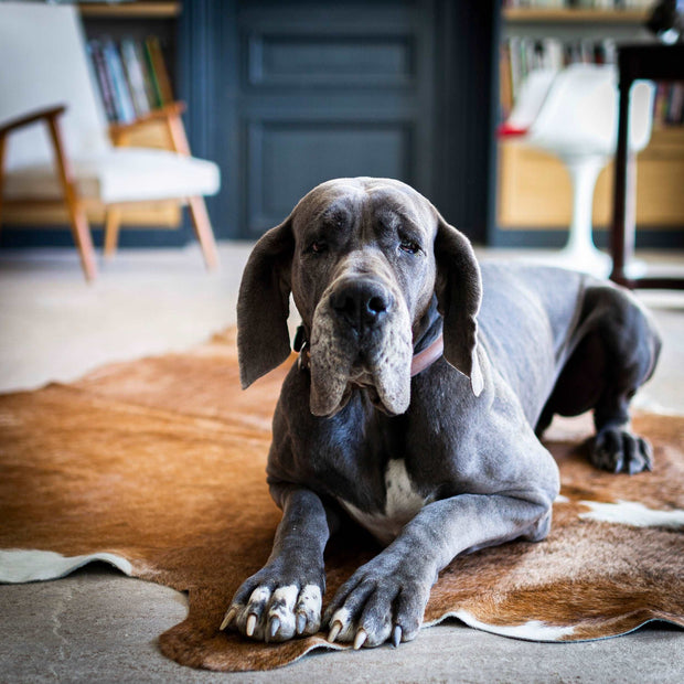 Peau de vache marron